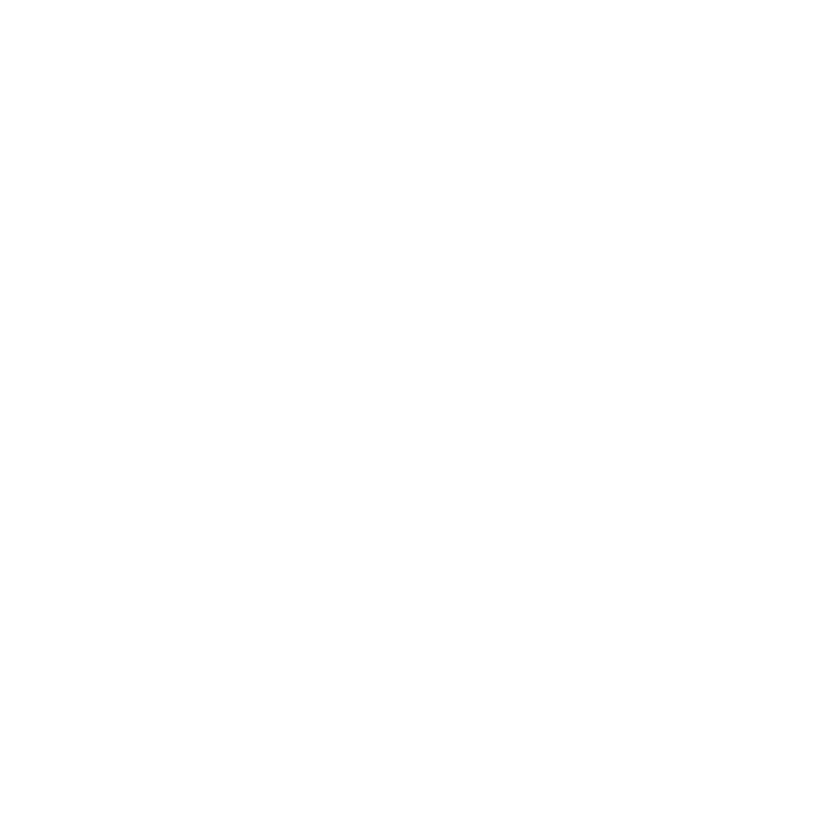 Ascentim Values Icon - Authenticity