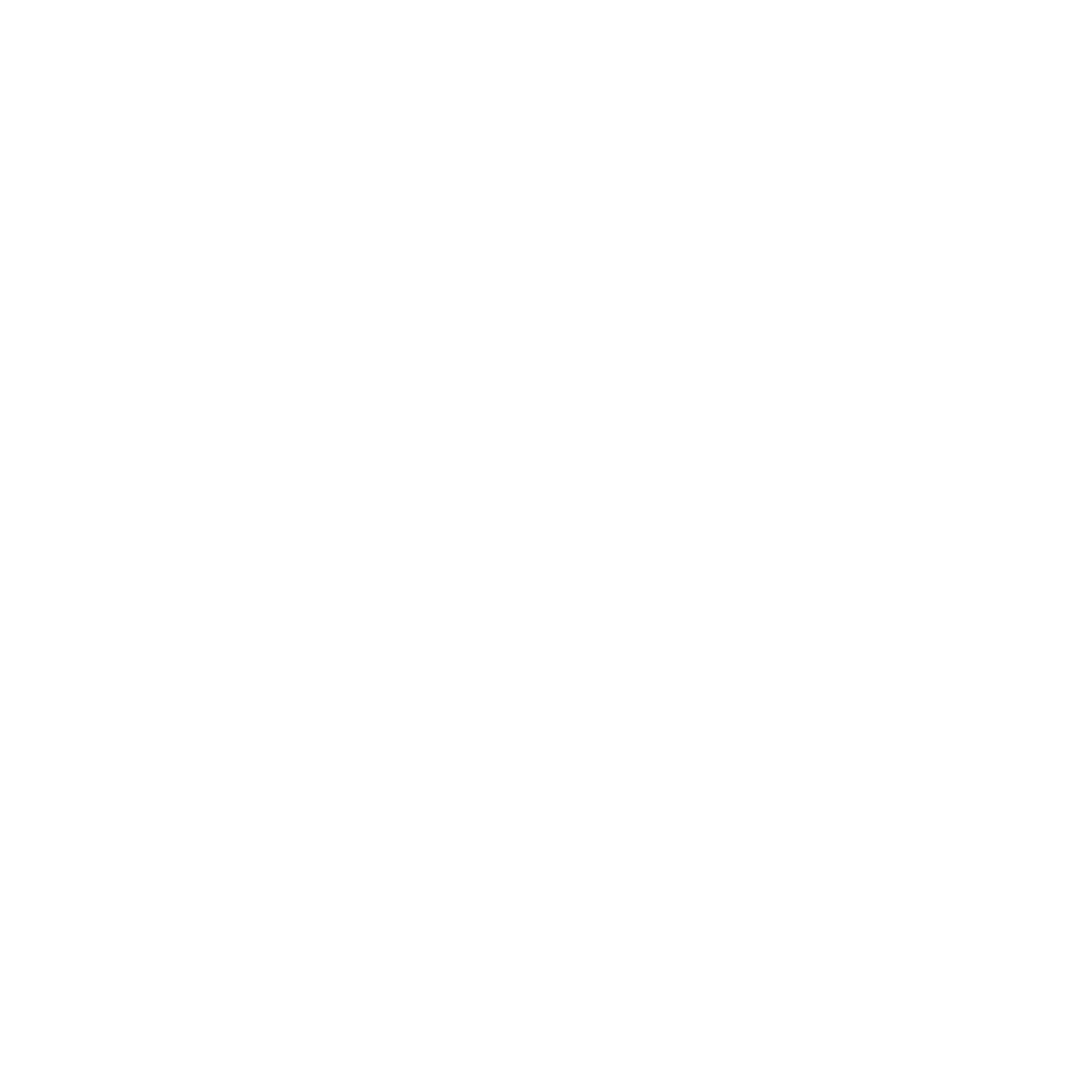 Ascentim Values Icon - Confidentiality