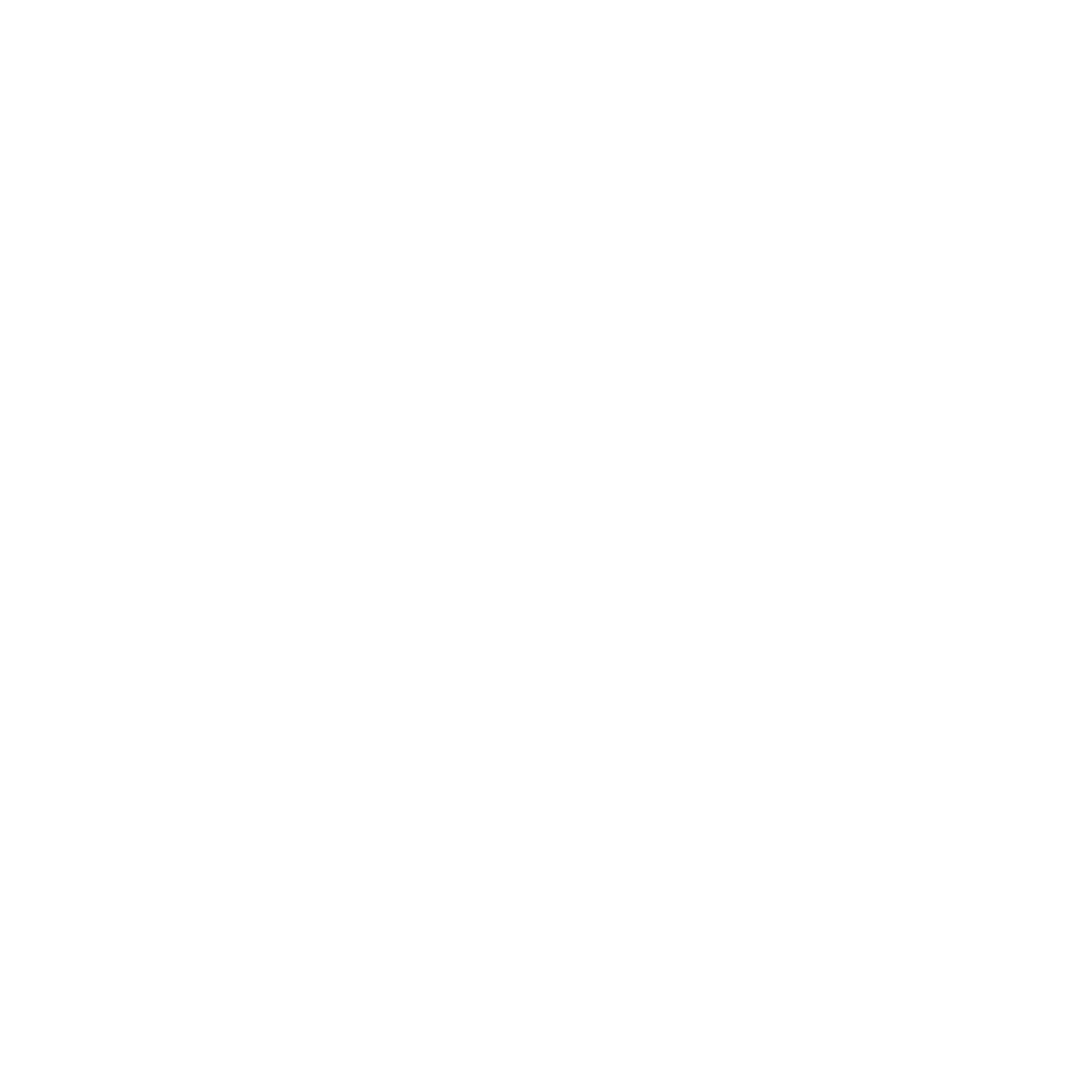 Ascentim Values Icon - Courage